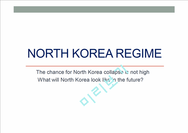 North Korea regime   (1 )